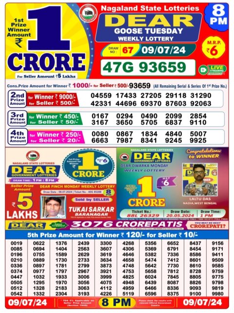 Dear Lottery Chart 2024