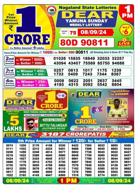 Dear Lottery Chart 2024