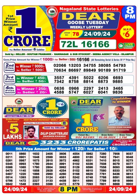 Dear Lottery Chart 2024