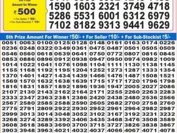 Dear Lottery Chart 2024