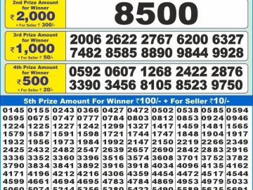 Dear Lottery Chart 2024