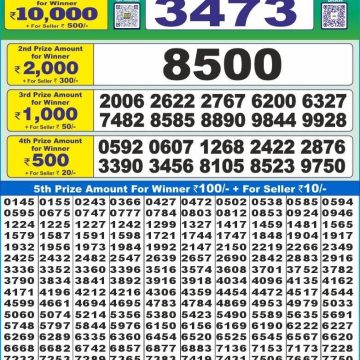 Dear Lottery Chart 2024