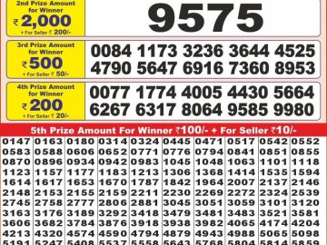 Dear Lottery Chart 2024