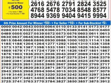 Dear Lottery Chart 2024