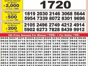 Dear Lottery Chart 2024