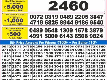 Dear Lottery Chart 2024