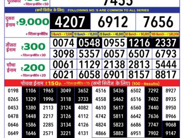 Dear Lottery Chart 2024