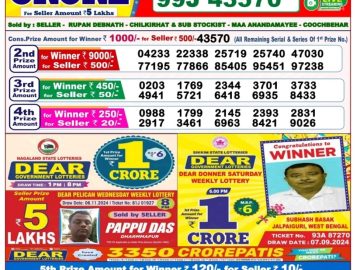 Dear Lottery Chart 2024