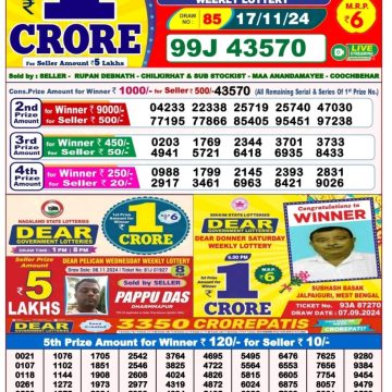 Dear Lottery Chart 2024