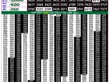 Dear Lottery Chart 2024