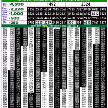 Dear Lottery Chart 2024