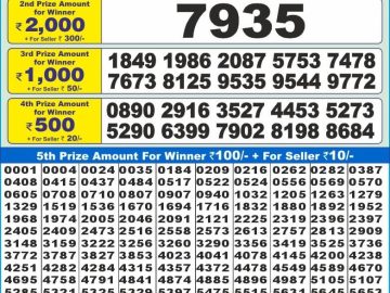 Dear Lottery Chart 2024