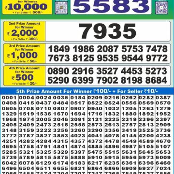 Dear Lottery Chart 2024