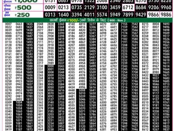 Dear Lottery Chart 2024