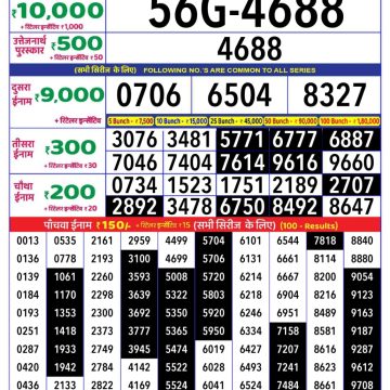 Dear Lottery Chart 2024