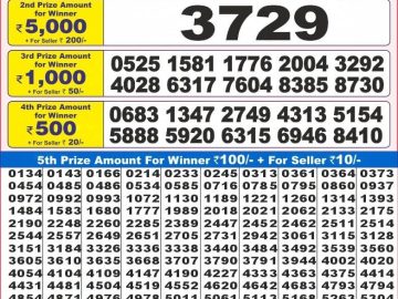 Dear Lottery Chart 2024