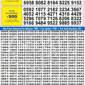 Dear Lottery Chart 2024