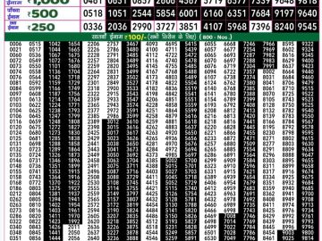 Dear Lottery Chart 2024