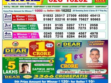 Dear Lottery Chart 2024