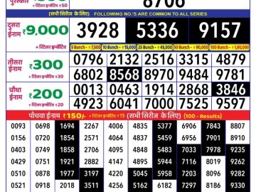 Dear Lottery Chart 2024