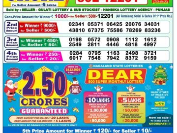 Dear Lottery Chart 2024