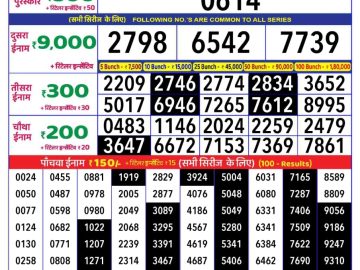 Dear Lottery Chart 2024