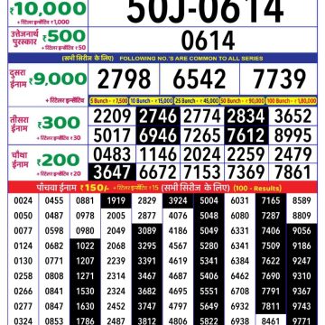 Dear Lottery Chart 2024