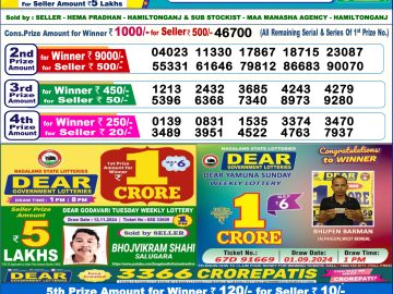 Dear Lottery Chart 2024