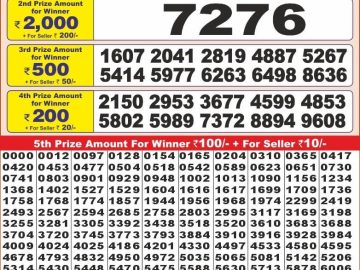 Dear Lottery Chart 2024