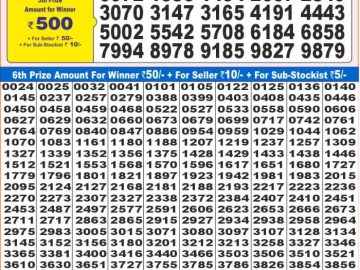 Dear Lottery Chart 2024