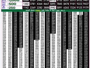 Dear Lottery Chart 2024