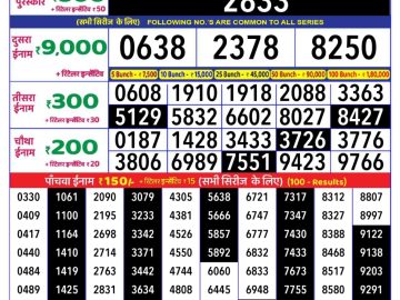 Dear Lottery Chart 2024