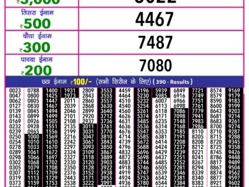 Dear Lottery Chart 2024