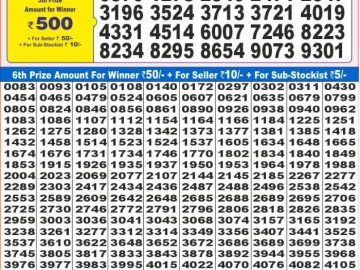 Dear Lottery Chart 2024