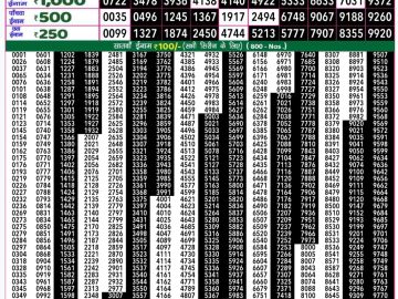 Dear Lottery Chart 2024