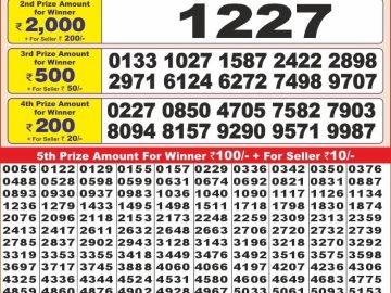 Dear Lottery Chart 2024