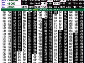 Dear Lottery Chart 2024