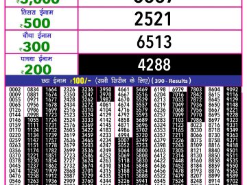 Dear Lottery Chart 2024