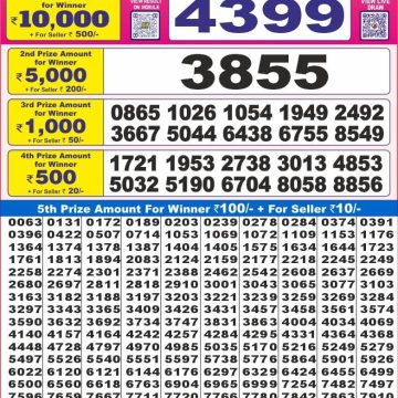 Dear Lottery Chart 2024