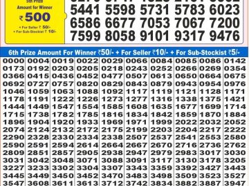 Dear Lottery Chart 2024