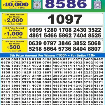 Dear Lottery Chart 2024