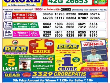 Dear Lottery Chart 2024