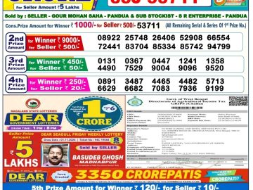 Dear Lottery Chart 2024