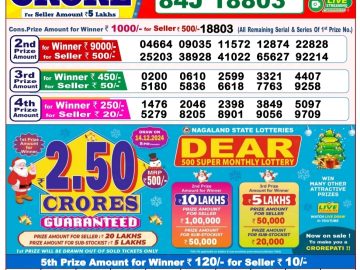 Dear Lottery Chart 2024