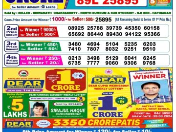 Dear Lottery Chart 2024