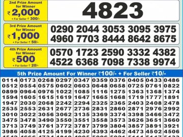 Dear Lottery Chart 2024