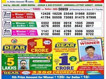 Dear Lottery Chart 2024