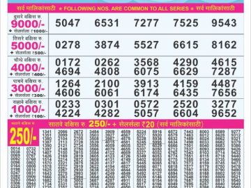 Dear Lottery Chart 2024