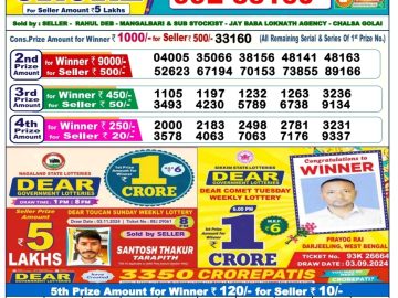 Dear Lottery Chart 2024