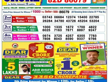 Dear Lottery Chart 2024